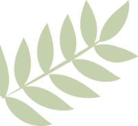 Decorative botanical fern element