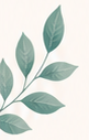 Decorative botanical leaf